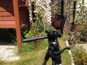 EVO 3D tripod 1